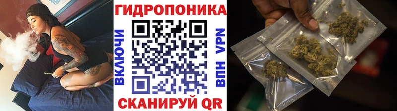 Как найти закладки Елец COCAIN  МЕФ  СК  Галлюциногенные грибы  МАРИХУАНА  Амфетамин 