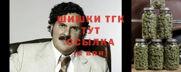 скорость Вяземский