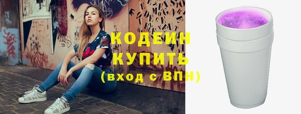 скорость Вяземский