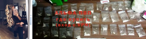 круглые Вязьма