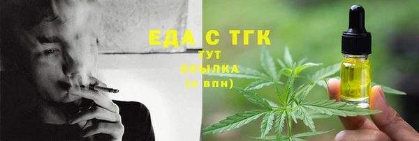 скорость Вяземский