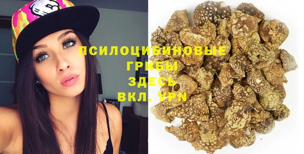 круглые Вязьма